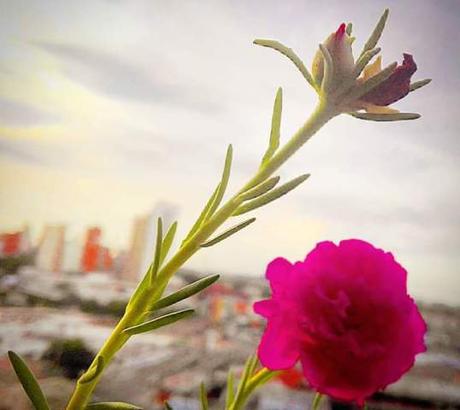 ¿Y los amigos de ayer? ¿Y los amigos de ayer?