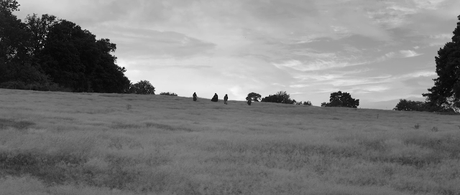 A Field in England - 2013