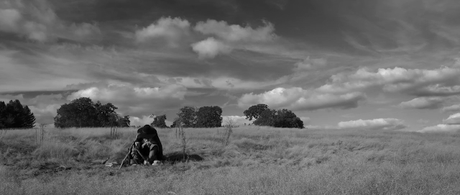 A Field in England - 2013