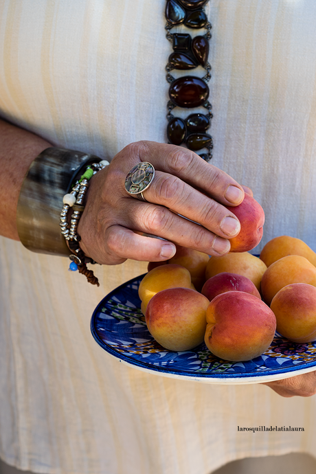 BIZCOCHO DE ALBARICOQUES Y NUECES