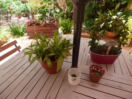 Cosas variadas para el jardín Cosas variadas para el jardín