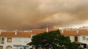 Estoy en Matalascañas mientras arde Doñana Estoy en Matalascañas mientras arde Doñana