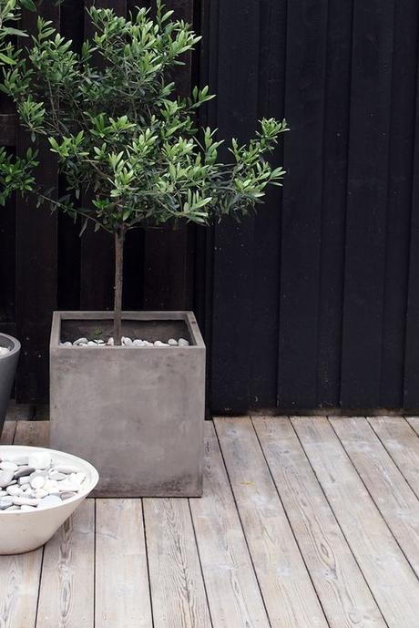 TIPS para decorar TU TERRAZA O BALCÓN TIPS para decorar TU TERRAZA O BALCÓN