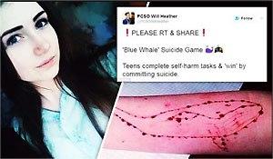 Juego en línea “La ballena azul” – Incitación al suicidio adolescente