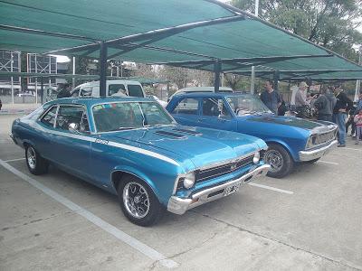 Exposición solidaria en Carrefour Bella Vista Exposición solidaria en Carrefour Bella Vista