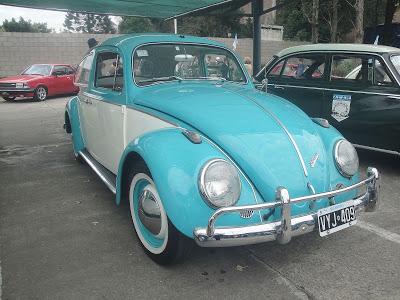 Exposición solidaria en Carrefour Bella Vista Exposición solidaria en Carrefour Bella Vista