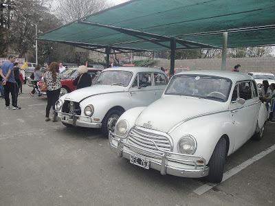 Exposición solidaria en Carrefour Bella Vista Exposición solidaria en Carrefour Bella Vista