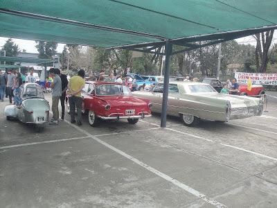 Exposición solidaria en Carrefour Bella Vista