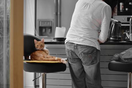 Cómo decorar tu cocina como si se tratase de un bar