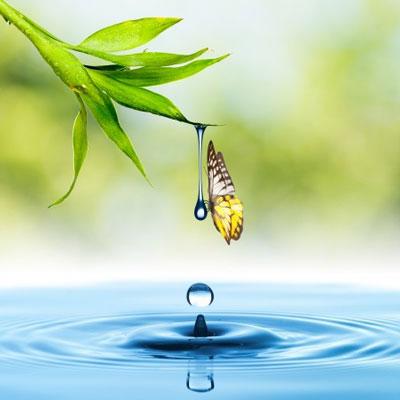 Cómo traer tu mente de regreso al presente Cómo traer tu mente de regreso al presente