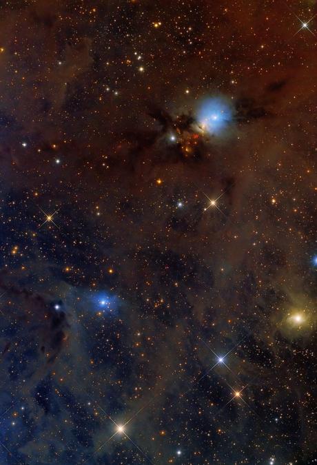 ✨Campo amplio de NGC 1333 por R. Colombari ✨Campo amplio de NGC 1333 por R. Colombari