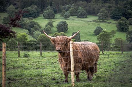 Callander Tierras Altas. Escocia