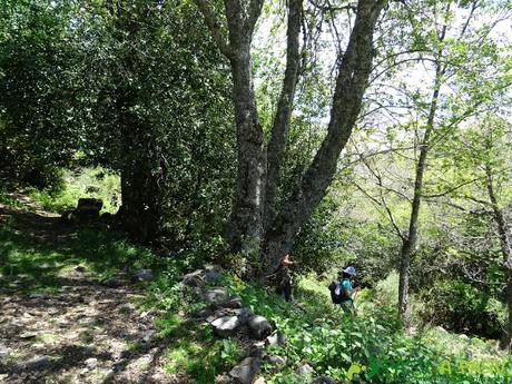 Ruta al Mustallar: Saliendo del Refugio de Acebalín para Burbia