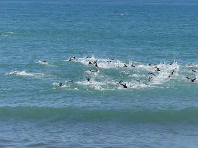 Triatlón Sitges . Campeonato de Catalunya Sprint por Grupos de Edad