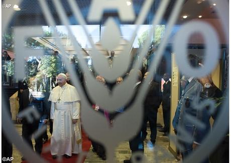 El Papa Francisco a la FAO:urge una cultura de la solidaridad para erradicar el hambre en el mundo