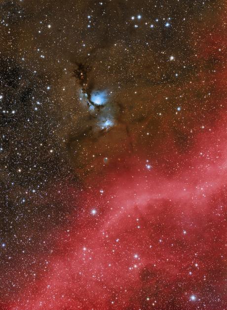 ✨M78 por Sara Wager