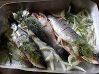 Lubina con cebolla al hinojo Lubina con cebolla al hinojo