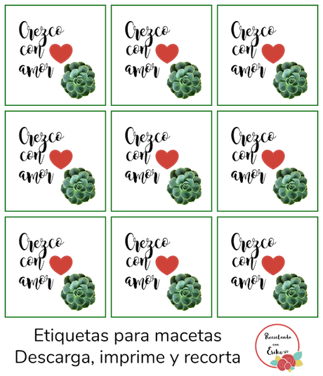 Etiquetas para macetas, descarga GRATUITA