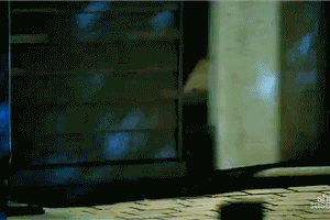 Franky, Quinta temporada de 'Wentworth' Franky, Quinta temporada de 'Wentworth'