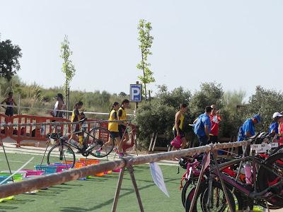 Campeonato de España Escolar por Autonomías. Almansa