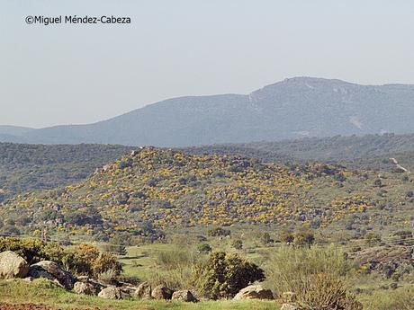 El Rio Jébalo por el cañon hasta Alcaudete