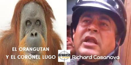 atracoalpueblo.com EL INCENDIO DEL REICHSTAG Y EL ORANGUTÁN