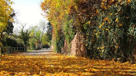 10 Atracciones Imperdibles Que Ver En Heidelberg – Alemania.