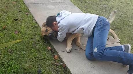 Cuando aparece tu mejor amigo después de pensar que lo habías perdido Cuando aparece tu mejor amigo después de pensar que lo habías perdido