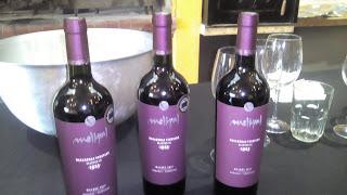Descorchando los vinos Melipal