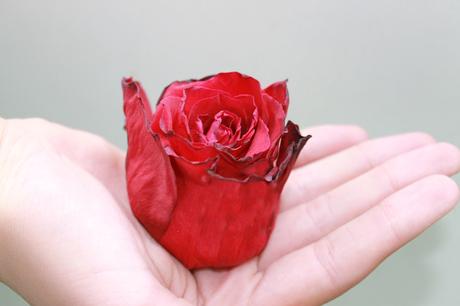 Nuestro contorno es como una flor, si no lo cuidas con regularidad se marchita. En busca del contorno de ojos ideal