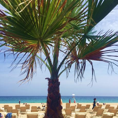 Instagram: ¿puro postureo? Instagram: ¿puro postureo?