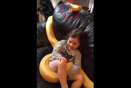 El vídeo de una niña de cuatro años rodeada por una pitón desata la polémica en las redes El vídeo de una niña de cuatro años rodeada por una pitón desata la polémica en las redes