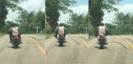 Serpiente ataca a un motociclista en plena carretera