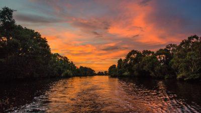 Atardecer en un manglar.