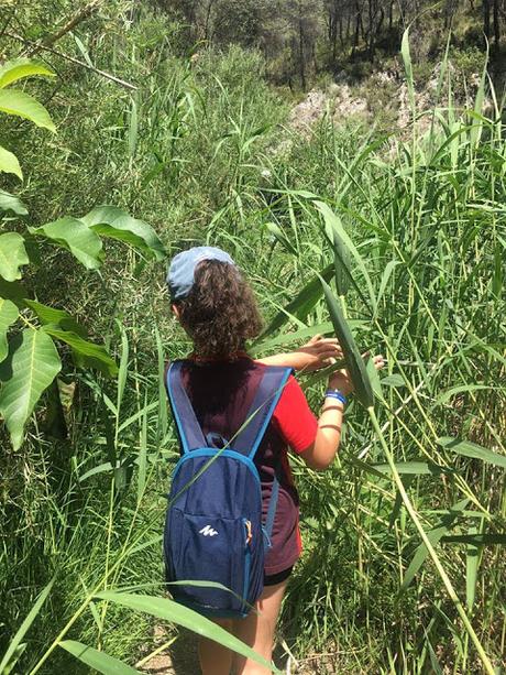 Nos vamos de excursión, Polop, Alcoi, Alcoy, Sant Bonaventura, font de quinzét, el salt, cascada de polop, senderismo, deporte, ruta, excursión, salida con niños, ruta facil, ruta agua, 