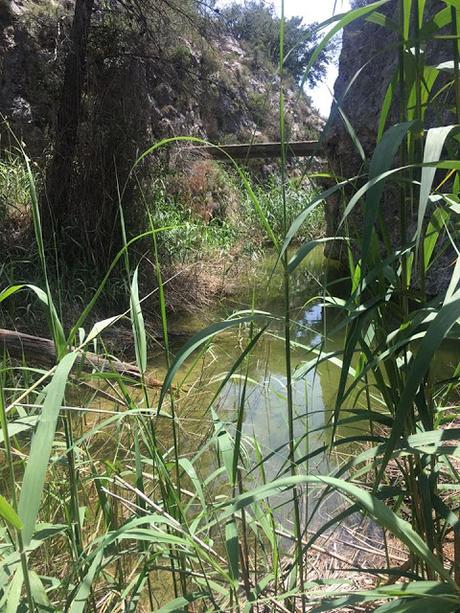 Nos vamos de excursión, Polop, Alcoi, Alcoy, Sant Bonaventura, font de quinzét, el salt, cascada de polop, senderismo, deporte, ruta, excursión, salida con niños, ruta facil, ruta agua, 