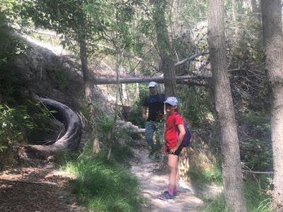 Nos vamos de excursión, Polop, Alcoi, Alcoy, Sant Bonaventura, font de quinzét, el salt, cascada de polop, senderismo, deporte, ruta, excursión, salida con niños, ruta facil, ruta agua, 