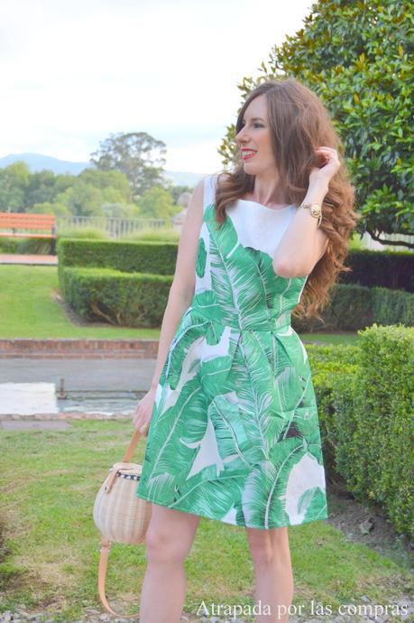 TROPICAL TROPICAL