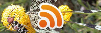 Cómo incluir un indice tipo Wikipedia en Blogger. Cómo incluir un indice tipo Wikipedia en Blogger.