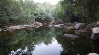 RESUCITANDO, volviendo a nacer RESUCITANDO, volviendo a nacer