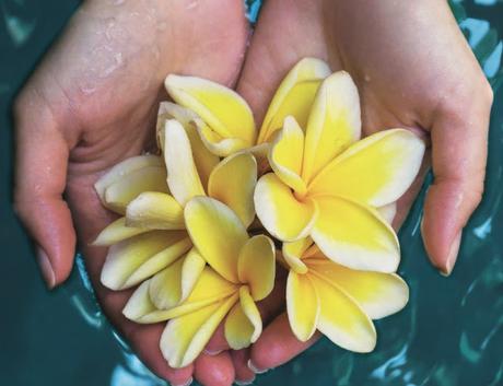 Sublimando la Belleza de la piel con el Oro de la Polinesia Sublimando la Belleza de la piel con el Oro de la Polinesia