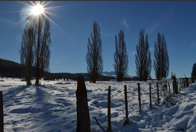 Junín de los Andes‏ @munijandes