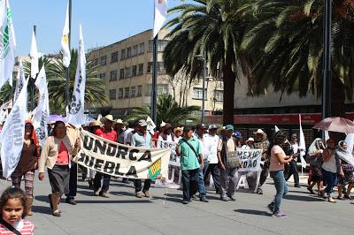 EL CAMPO ES DE TODOS, COMO LA DIGNA LUCHA POR EL BIENESTAR DE LOS CAMPESINOS EL CAMPO ES DE TODOS, COMO LA DIGNA LUCHA POR EL BIENESTAR DE LOS CAMPESINOS