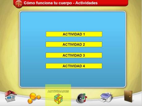 El cuerpo humano: recursos para primer ciclo de primaria El cuerpo humano: recursos para primer ciclo de primaria
