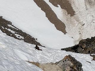 SENDERISMO EN LAKE LOUISE: DEVIL’S THUMB 2466 m