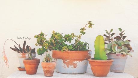 CÓMO PONER BONITO UN RINCÓN DE EXTERIOR CON PLANTAS CÓMO PONER BONITO UN RINCÓN DE EXTERIOR CON PLANTAS