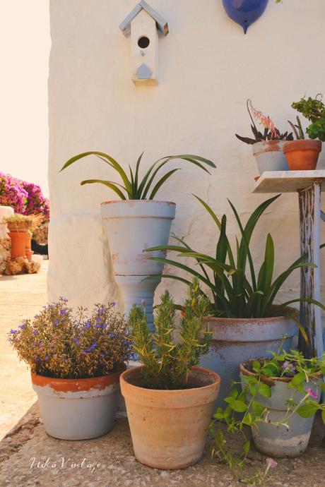 CÓMO PONER BONITO UN RINCÓN DE EXTERIOR CON PLANTAS CÓMO PONER BONITO UN RINCÓN DE EXTERIOR CON PLANTAS