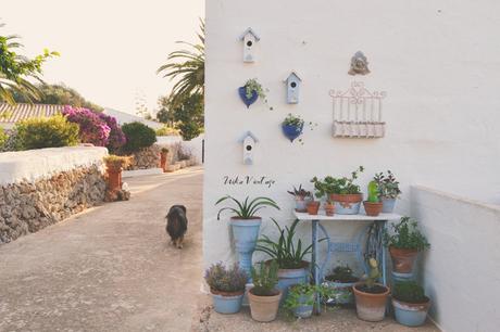 CÓMO PONER BONITO UN RINCÓN DE EXTERIOR CON PLANTAS CÓMO PONER BONITO UN RINCÓN DE EXTERIOR CON PLANTAS