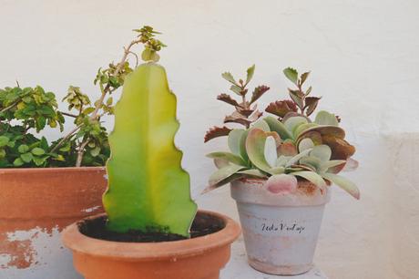 CÓMO PONER BONITO UN RINCÓN DE EXTERIOR CON PLANTAS CÓMO PONER BONITO UN RINCÓN DE EXTERIOR CON PLANTAS