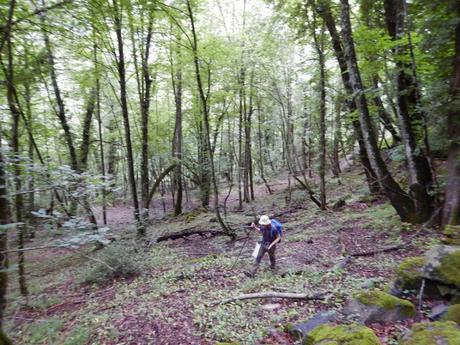 Ruta por el Bosc de Carlac desde Les. Valle de Arán